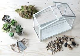 Kreative Geschenkideen Selbst Gemacht Ikea Gewachshaus Zimmergewachshaus Ikea Ideen