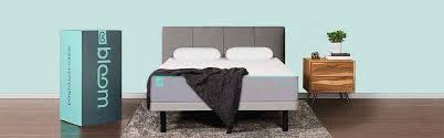 Mattress in a box brands. Sleep Country Reviews 2021 Catalog Ranked Buy Or Avoid