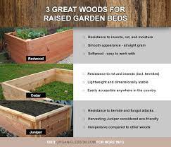 Best Wood And Lumber For Building Raised Garden Beds Raised Garden Beds Building A Raised Garden Building Raised Garden Beds