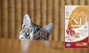 N D Kisirlastirilmis Kedi Mamasi Yorum Suzionline