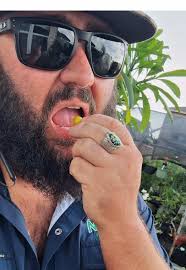 Discover the Magic of Growing Ground Cherries