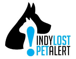 Take a good photo of the animal and write a post flyers across social media platforms and also look for lost pet resources on facebook. Home Indy Lost Pet Alert