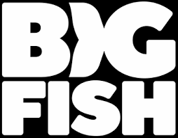 By the way a class action lawsuit is one in which a group of people with the same or similar injuries caused by the same product or action sue the defendant as a group. Big Fish Casino Online