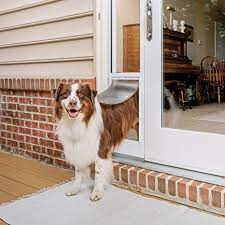 Easily removable, light weight and low. Amazon Com Petsafe Sliding Glass Cat And Dog Door Insert Great For Rentals And Apartments Small Medium Large Pets No Cutting Diy Installation Pet Supplies