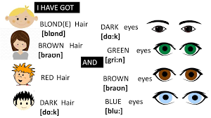 Of course, not only red hair coexist with green eyes. I Ve Got Red Hair And Blue Eyes Ppt Download