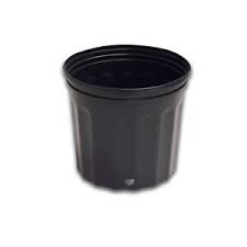 We did not find results for: 100 Pack Economical Commercial 5 Gallon Nursery Pots 12 Diameter X 11 Tall Ebay