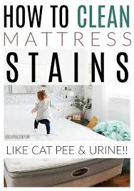 How To Clean Mattress Stains (Like Pee!) | Diy Passion