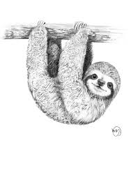 Pin By Luana On Amber In 2020 Sloth Drawing Sloth Art Sloth
