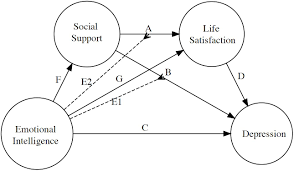 Frontiers Social Support And Emotional Intelligence As