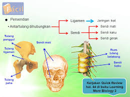 Sistem Gerak Pada Manusia Ppt Download