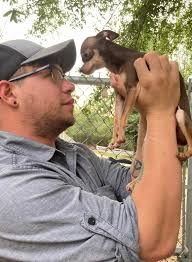 Elrod runs to the gate when he see David pull in the driveway🐶❤️🐾😒