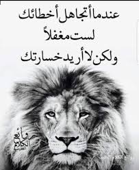 pin by nadinekattih on nado animals lion arabic
