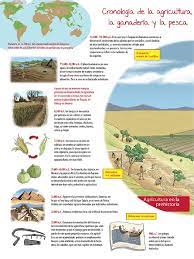 Wild grains were collected and ea. La Historia De La Agricultura