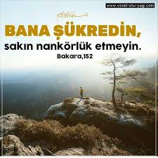 Ayetler Hadisler Dinisozler Ozlusozler Guzelsozler Anlamlisozler Islam Buyuksozleri Mevlana Allah Islam Quran Islam