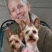 Rogge Family Obituaries