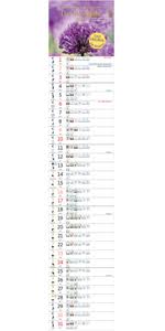 Beides ist übrigens nicht miteinander zu die termine im märz eignen sich gut für sehr frühe kartoffelsorten. Das Mondjahr 2021 Garten Spiralkalender Der Mondkalender Fur Garten Balkon Und Terrasse Das Original Amazon De Paungger Johanna Poppe Thomas Bucher