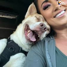 Ashley Godin's Instagram, Twitter & Facebook