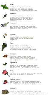 Common Herbs Flowers And Their Purposes In 2020 Witch Herbs Magic Herbs Magickal Herbs