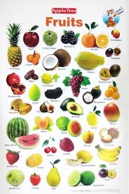 Apple Tree Fruits Preschool 1 13 5 Inch 19 5 Inch