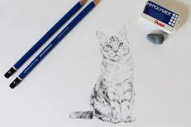 Luckily for you, i'm a professional illustrator and i've outlined this step by step guide to creating a perfect cat drawing. How To Draw A Realistic Cat Step By Step Tutorial Craftsy