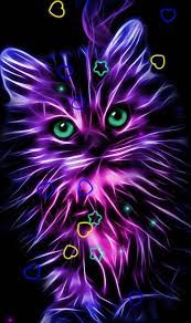 Neon Cat Neon Cat Animal Wallpaper Cat Wallpaper