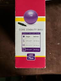 Core Stability Ball Set Size Large 75 Cm New Set With Pump Dvd By The Firm