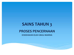 Sains tahun 3 unit 6: Sistem Pencernaan Manusia Tahun 3