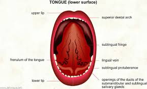 How to whistle in 3 easy steps. How To Whistle With Your Tongue Kimberlyn Underwood S Blog