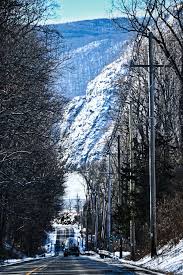Immature Golden Eagle, Dutchess County