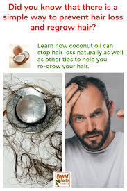 These oils foster hair growth and makes your this maybeau hair growth serum is fda approved and works to prevent hair loss and promote healthy growth. Coconut Oil For Hair Loss Hybrid Rasta Mama