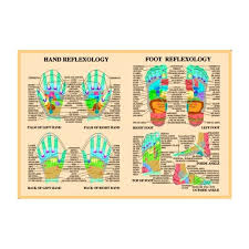 Foot Hand Reflexology A2