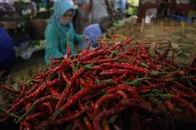 Jika info loker ini bermanfaat, job seeker bisa share di facebook, twitter maupun watshapp. Pedas Menggigit Harga Cabai Tembus Rp70 000 Per Kg
