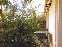 Un arbre en pot parfait pour l'intérieur et l'extérieur. Balcon Plein Sud Plantes Et Amenagement Cote Maison