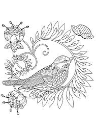 Bird coloring pages for adults printable. Birds Coloring Book For Adults Razukraski Com