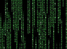 Https Encrypted Tbn0 Gstatic Com Images Q Tbn 3aand9gcqofo9b7vu4vnbqm4pjdnya7rrvru2q7azqaq Usqp Cau