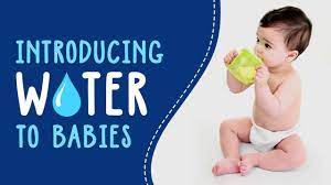 Additionally, water can fill up their stomachs, making it difficult for them to get the nutrition that they need. When Can Babies Start Drinking Water How Much To Feed