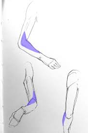 The muscle belly is in the upper arm and forms a thick tendon that attaches to the inner aspect of the elbow. Learn To Draw Arms Once And For All Gvaat S Workshop