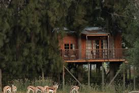 Casa rural completa o por habitaciones. Dormint A Una Casa Als Arbres A Vindoux Guest Farm I M 8 Hours Ahead