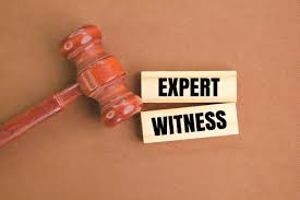Expert Witness and Litigation - Prime Process Safety Center