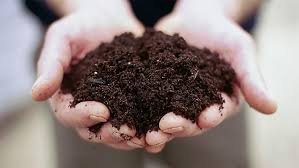 Maybe you would like to learn more about one of these? Water Smart Vegetable Garden San Jose Water