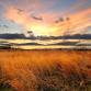 Occoquan Bay Wildlife Refuge Continuing Education event image