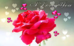 Flower I Love You Wallpaper Pixelstalk Net If you want to download i love you image with red rose, rose images with love messages for lover, then you are on the right place, please scroll down and check our collection of beautiful i love you images with roses love rose image hd. flower i love you wallpaper