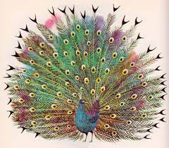 berlitz french zoo animals for children art seiden 1963 peacock peacock art animals for kids art
