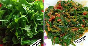 Untuk daun bayam, ia tidak perlu dilap atau dikeringkan terlebih dahulu. Resipi Bayam Brazil Goreng Ala Belacan Yang Simple Simple Jer Tapi Sedap Mudah Pula Tu Wanita Ni Kongsikan Caranya Keluarga