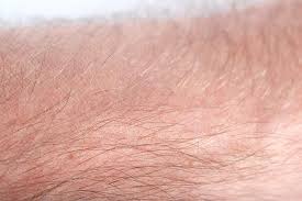 Lanugo is baby body hair. Vellus Hair Function And Growth
