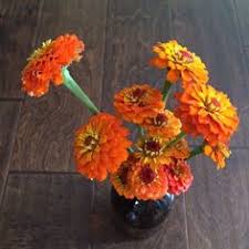 Floral arrangement artworks from dublin flower farm workshop. Dublin Flower Farm Fresh Cut Flower Collections