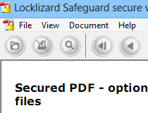 Download Lizard Safeguard Secure Viewer 3 0 2