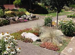 New front yard landscape with terraced stone walls, boulders, plantings and concrete walkway this is an example of a small modern full sun front yard mulch retaining wall landscape in san francisco for summer. No Grass Front Yard Archives Landscape Design In A Day