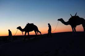 Check out viator's reviews and photos of morocco tours. Desert Odyssey Planning Your Trip To The Tunisian Sahara Lonely Planet