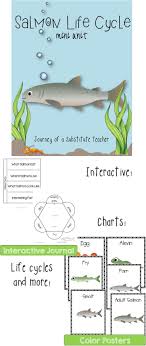 Salmon Life Cycle Mini Unit Fish Life Cycle Life Cycles Kindergarten Life Cycles